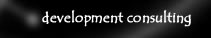Development Consulting